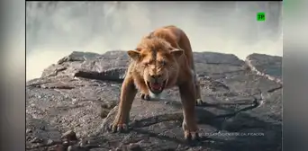 ‘Mufasa: El Rey León’, live action: ¿cuál es el reparto oficial de la nueva película de Disney? ‘Mufasa: El Rey León’, live action: ¿cuál es el reparto oficial de la nueva película de Disney?