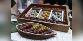 El Salón del Cacao y Chocolate Internacional espera recibir 25.000 visitantes este año El Salón del Cacao y Chocolate Internacional espera recibir 25.000 visitantes este año