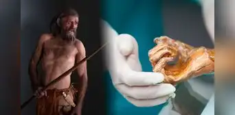 Científicos revelan cómo se hicieron los tatuajes más antiguos del mundo tras analizar al 'Hombre de Hielo'