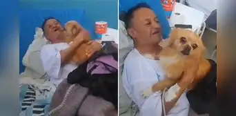 Perrita se camufló para ver a su dueño en hospital de Perú y dicen: "Son medicina para el alma" Perrita se camufló para ver a su dueño en hospital de Perú y dicen: "Son medicina para el alma"