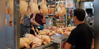 Precio del pollo retrocede de a poco: el kilo se vende a S/9,23 en mercados minoristas