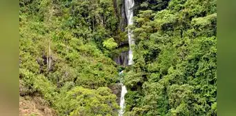 Conoce la cascada oculta en un árbol de Antioquia: ¿cómo llegar desde Bogotá? Conoce la cascada oculta en un árbol de Antioquia: ¿cómo llegar desde Bogotá?