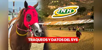 Traqueos y pronósticos La Rinconada, 2 de junio: datos para el 5y6 de Gaceta Hípica y Grupo Cordialito Traqueos y pronósticos La Rinconada, 2 de junio: datos para el 5y6 de Gaceta Hípica y Grupo Cordialito