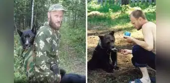 El trágico final del hombre que crio un oso pardo por 4 años como mascota, pero fue devorado por él