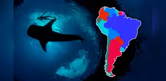 El pez más grande del mundo, lo encuentras en un país de Sudamérica y mide más de 12 metros de largo El pez más grande del mundo, lo encuentras en un país de Sudamérica y mide más de 12 metros de largo