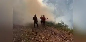Fuego incontrolable: incendio forestal consume 25 hectáreas en Pasco Fuego incontrolable: incendio forestal consume 25 hectáreas en Pasco