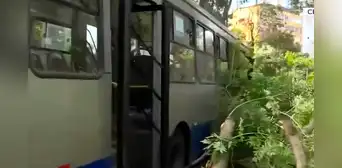 Cercado de Lima: una mujer herida tras choque de Corredor azul de ATU contra un árbol Cercado de Lima: una mujer herida tras choque de Corredor azul de ATU contra un árbol
