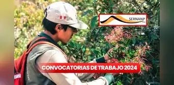Conoce las oportunidades laborales en Sernanp 2024: entidad ofrece trabajo con sueldos de hasta S/8.000 Conoce las oportunidades laborales en Sernanp 2024: entidad ofrece trabajo con sueldos de hasta S/8.000