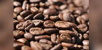 Picos históricos del cacao y café globales impulsaron 16% las exportaciones amazónicas del Perú Picos históricos del cacao y café globales impulsaron 16% las exportaciones amazónicas del Perú