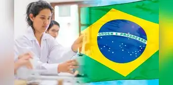 Ofrecen 800 becas para estudiar una maestría o doctorado en 55 universidades de Brasil: conoce los requisitos Ofrecen 800 becas para estudiar una maestría o doctorado en 55 universidades de Brasil: conoce los requisitos