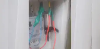 Tomacorriente explota y deja con quemaduras a niño en SMP: madre denuncia a Enel por 'mala conexión'