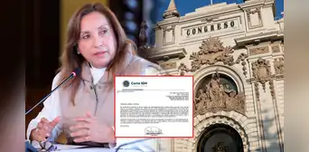 Corte IDH solicita al Gobierno de Dina Boluarte presentar observaciones por "ley de amnistía" Corte IDH solicita al Gobierno de Dina Boluarte presentar observaciones por "ley de amnistía"