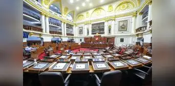 Congreso busca vulnerar institucionalidad de 995 ONG en el Perú Congreso busca vulnerar institucionalidad de 995 ONG en el Perú