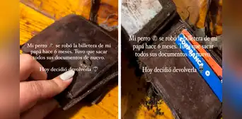 Hombre pierde billetera, saca duplicado de sus documentos y su perro se la devuelve luego de 6 meses