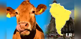 El ÚNICO país de Sudamérica que tiene más vacas que habitantes: aproximadamente 4 por persona El ÚNICO país de Sudamérica que tiene más vacas que habitantes: aproximadamente 4 por persona