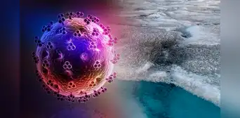 Virus gigantes en Groenlandia podrían frenar el deshielo del Ártico, según reciente estudio científico