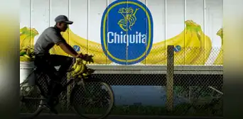 ¿Qué es Chiquita Brands, la empresa internacional que financió a un grupo paramilitar en Colombia? ¿Qué es Chiquita Brands, la empresa internacional que financió a un grupo paramilitar en Colombia?