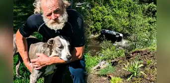 La historia del heroico perro que corrió 6 km para buscar ayuda y salvar la vida de su dueño tras caer en un barranco