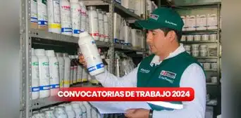 Senasa brinda trabajo a personas con secundaria completa, técnicos y más: sueldos superan los S/5.600