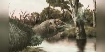 El ganso preshistórico gigante que vivió en Australia hace 45.000 años: el cambio climático lo desapareció