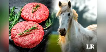 El país de Sudamérica que es primero en el MUNDO exportando carne de caballo, pero no la consume El país de Sudamérica que es primero en el MUNDO exportando carne de caballo, pero no la consume