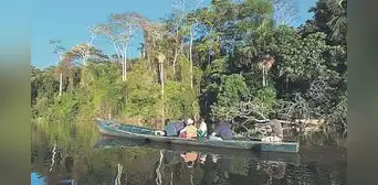 Más de US$30.000 millones podría captar la Amazonía Más de US$30.000 millones podría captar la Amazonía
