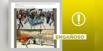 Post no expone a palestinos quemando un burro tras pintarlo con colores de la bandera israelí en 2024 Post no expone a palestinos quemando un burro tras pintarlo con colores de la bandera israelí en 2024