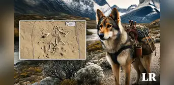 Científicos descubren en Sudamérica los restos fósiles del primer perro utilizado como 'animal de carga'