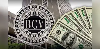 Dólar BCV HOY, domingo 16 de junio ¿cuál es el precio del dólar en Venezuela? Dólar BCV HOY, domingo 16 de junio ¿cuál es el precio del dólar en Venezuela?