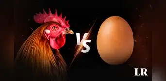 Científicos resuelven un dilema que hace explotar cabezas: ¿qué fue primero, el huevo o la gallina?