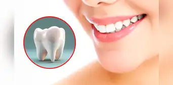 Científicos japoneses descubren fármaco que podría regenerar dientes humanos, sería primero en el mundo Científicos japoneses descubren fármaco que podría regenerar dientes humanos, sería primero en el mundo