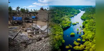 Amazonía peruana es consumida por la sed de explotación de oro en el mundo: "Este terreno está muerto"