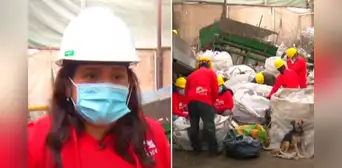 Ingeniera peruana cumple el sueño de su padre y funda una gran planta de reciclaje en Ventanilla: "Una botella es vida"