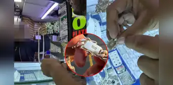 Joven gastó sus ahorros en un collar de plata en Centro de Lima y se lleva gran sorpresa: "Se ve original" Joven gastó sus ahorros en un collar de plata en Centro de Lima y se lleva gran sorpresa: "Se ve original"