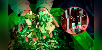 "Coca beer": Bolivia crea una cerveza a base de una planta medicinal y cargada de energía