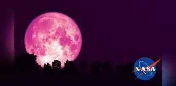 Luna de Fresa en Colombia 2024: a qué hora y dónde ver EN VIVO el fenómeno astronómico Luna de Fresa en Colombia 2024: a qué hora y dónde ver EN VIVO el fenómeno astronómico