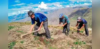 Lunes 24 de junio, Día del Campesino: ¿será feriado o día no laborable? Gobierno hace aclaración vía El Peruano