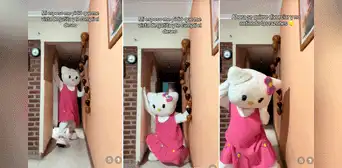 Hombre quería ver a su pareja como gatita y ella se disfraza de Hello Kitty para cumplir su deseo Hombre quería ver a su pareja como gatita y ella se disfraza de Hello Kitty para cumplir su deseo