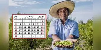 ¿Es feriado el 24 de junio por el Día del Campesino? Gobierno aclara si los peruanos descansarán