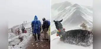 Turistas sorprendidos al encontrar la Montaña de 7 Colores con nieve: “Literal, mis ahorros”