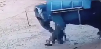 Un hombre de 62 años muere aplastado por elefante en un zoológico en la India Un hombre de 62 años muere aplastado por elefante en un zoológico en la India