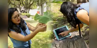Científica de México crea música con sonidos de plantas y ofrece conciertos: empezó a trabajar con lechugas