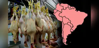 Este país de Sudamérica consume más pollo en el mundo: supera a Perú y Argentina Este país de Sudamérica consume más pollo en el mundo: supera a Perú y Argentina