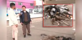 San Juan de Lurigancho: encuentran costales con colas de perros en los exteriores de la Línea 1 del Metro