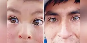 Peruano muestra los ojos ‘hazel’ de su familia y usuarios dicen: “Yo heredé miopía y astigmatismo”