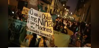 Caso Camila: Perú se niega a brindar estudios y servicio de salud mental a niña abusada pese a medidas de ONU