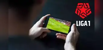 Indecopi ordena el bloqueo de 23 páginas web pirata que transmitían la Liga 1 sin autorización: ¿cuáles son?