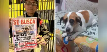 Desde hace 1 año, adulto mayor recorre todas las noches el distrito de ATE buscando a su perrita: conoce su historia Desde hace 1 año, adulto mayor recorre todas las noches el distrito de ATE buscando a su perrita: conoce su historia