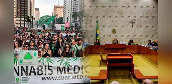 Tribunal de Brasil despenaliza el consumo de marihuana: permite posesión por debajo de los 40 gramos Tribunal de Brasil despenaliza el consumo de marihuana: permite posesión por debajo de los 40 gramos