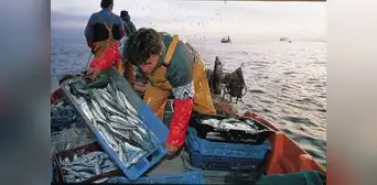 En el Día del Pescador, las 5 millas del mar de Grau siguen sin ser reglamentadas En el Día del Pescador, las 5 millas del mar de Grau siguen sin ser reglamentadas